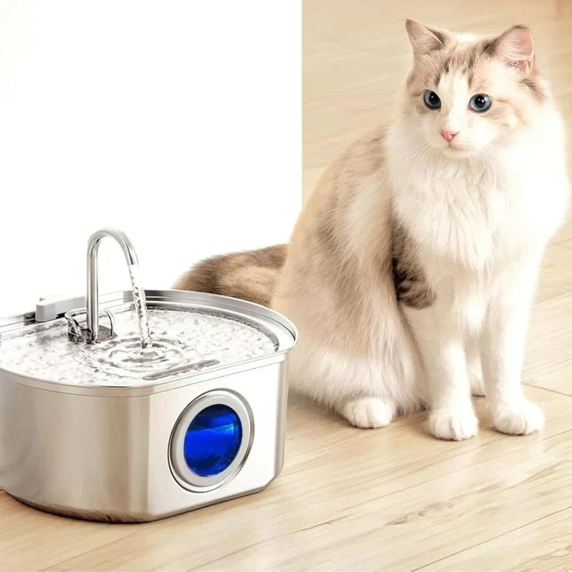 Purriflow - Protect your cat from dehydration and urinary emergencies