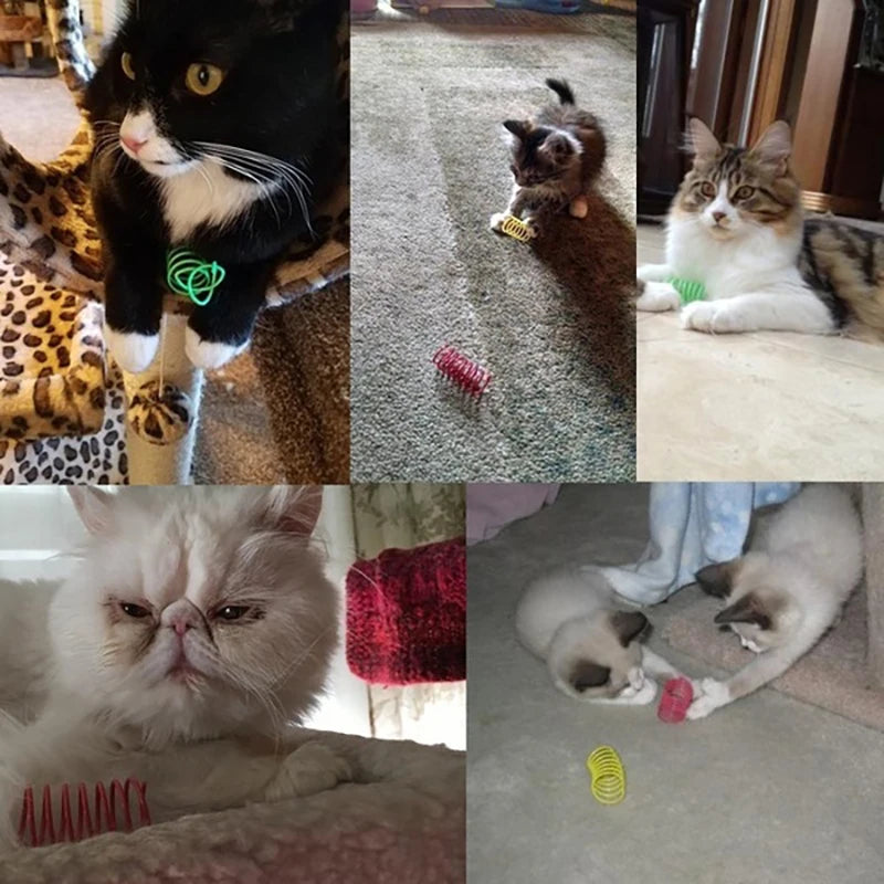 Cat Toy Spring
