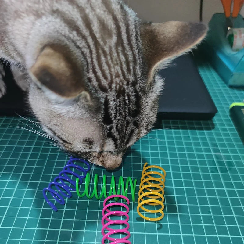 Cat Toy Spring