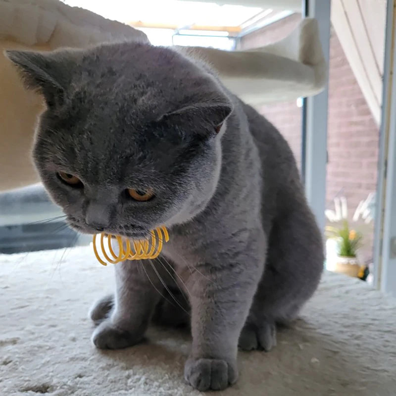 Cat Toy Spring