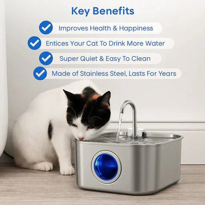Purriflow - Protect your cat from dehydration and urinary emergencies